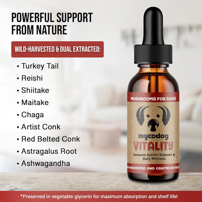 Vitality by Mycodog - Drake Dog Cancer Foundation