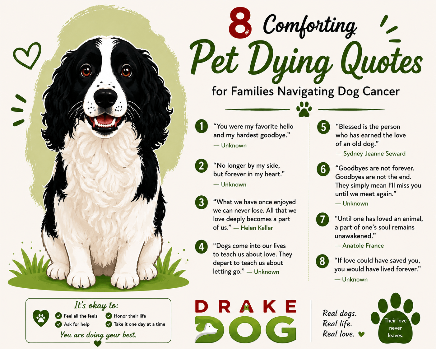 8 Comforting Pet Dying Quotes for Families Navigating Dog Cancer - Drake Dog Cancer Foundation