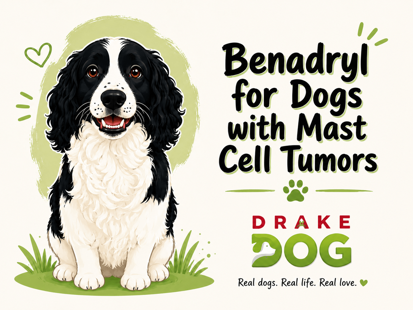 Benadryl for Dogs with Mast Cell Tumors - Drake Dog Cancer Foundation