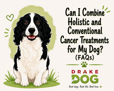 Can I Combine Holistic and Conventional Cancer Treatments for My Dog? (FAQs) - Drake Dog Cancer Foundation