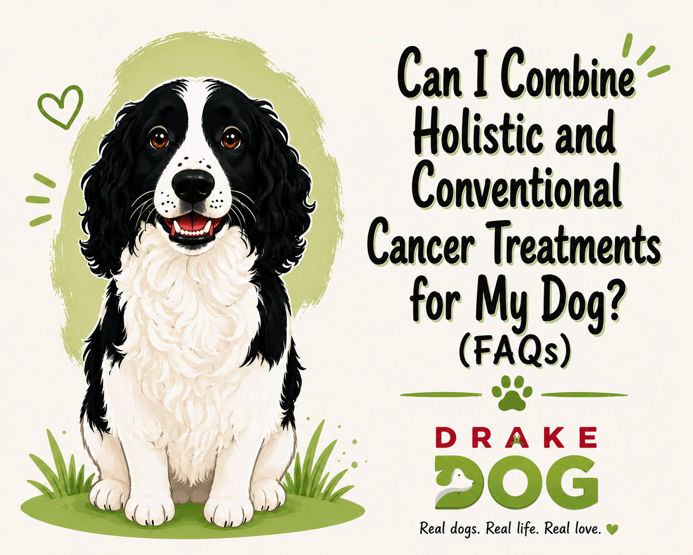 Can I Combine Holistic and Conventional Cancer Treatments for My Dog? (FAQs) - Drake Dog Cancer Foundation
