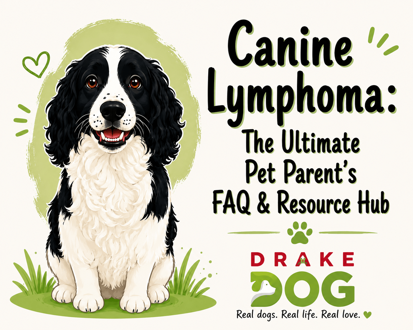 Canine Lymphoma: The Ultimate Pet Parent’s FAQ & Resource Hub - Drake Dog Cancer Foundation