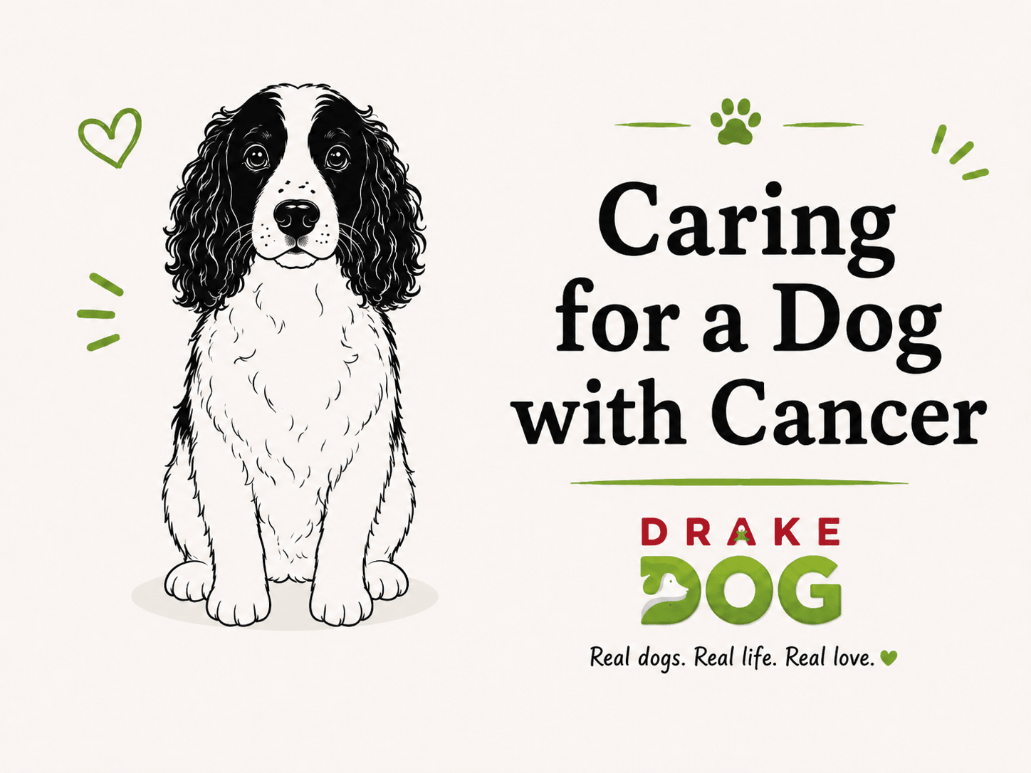 Caring for a Dog with Cancer - Drake Dog Cancer Foundation