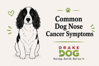 Common Dog Nose Cancer Symptoms - Drake Dog Cancer Foundation