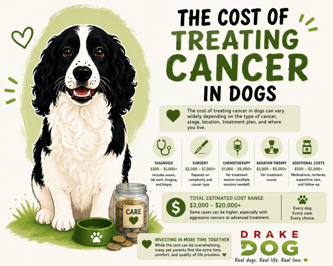 Cost of Treating Cancer in Dogs - Drake Dog Cancer Foundation