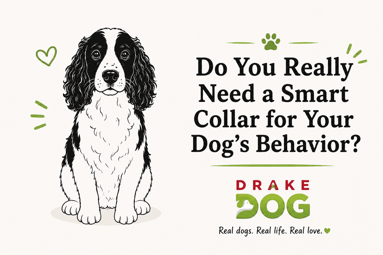 Do You Really Need a Smart Collar for Your Dog's Behavior? - Drake Dog Cancer Foundation