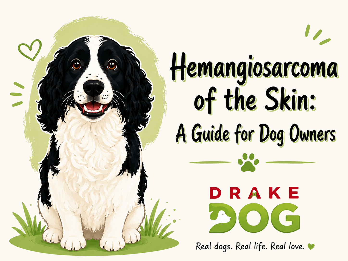 Hemangiosarcoma of the Skin: A Guide for Dog Owners - Drake Dog Cancer Foundation
