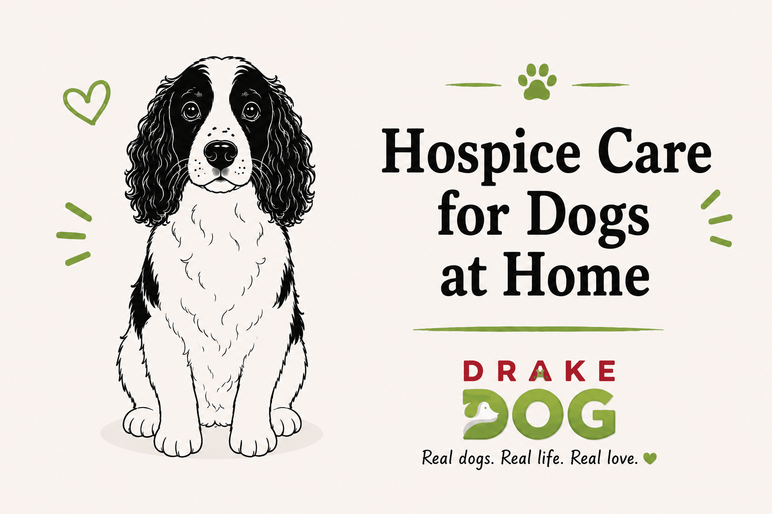 Hospice Care for Dogs at Home - Drake Dog Cancer Foundation
