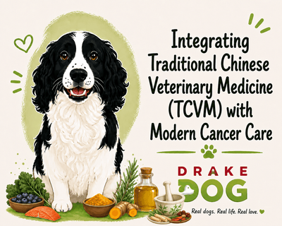Integrating Traditional Chinese Veterinary Medicine (TCVM) with Modern Cancer Care - Drake Dog Cancer Foundation