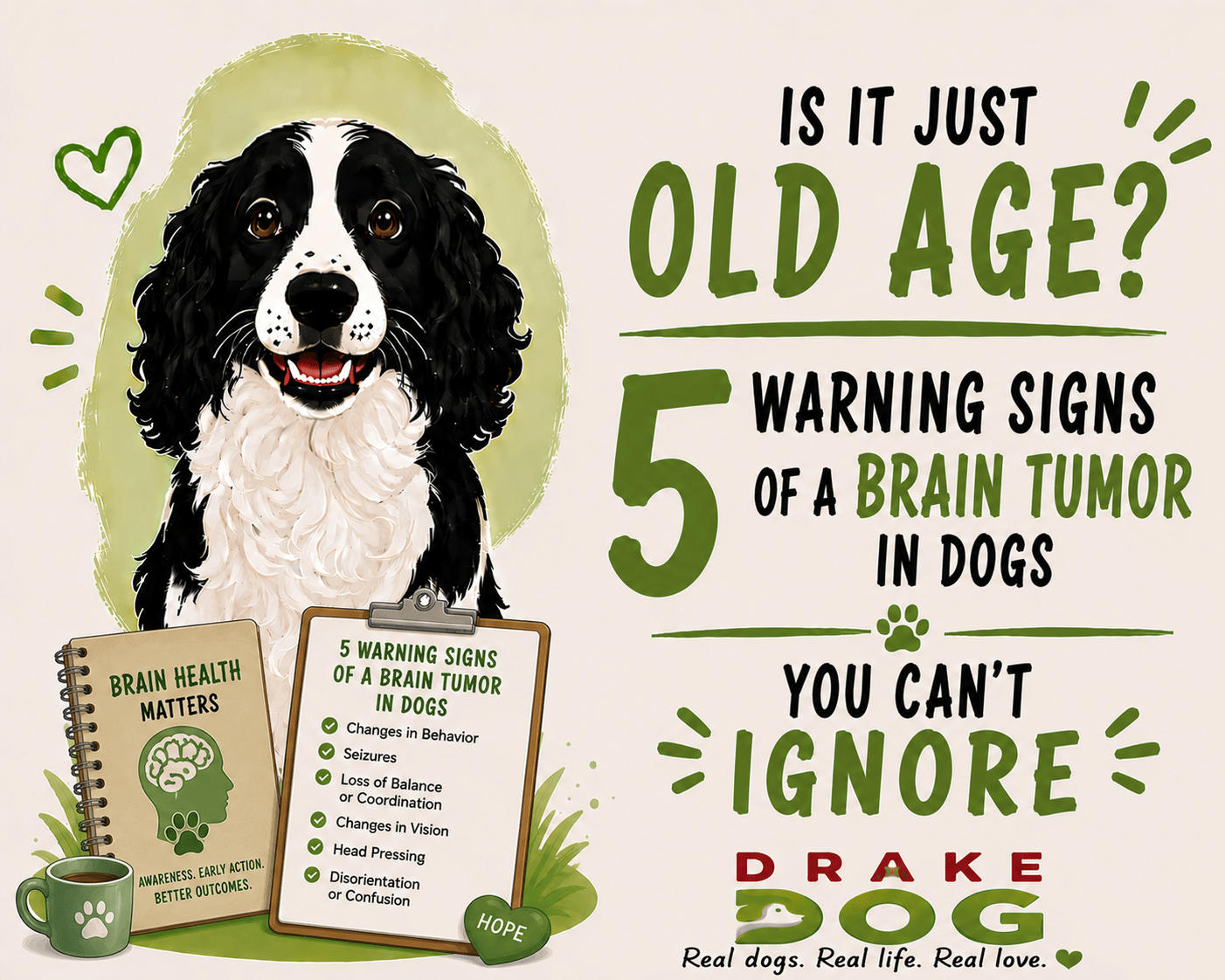 Is it Just Old Age? 5 Warning Signs of a Brain Tumor in Dogs You Can't Ignore - Drake Dog Cancer Foundation