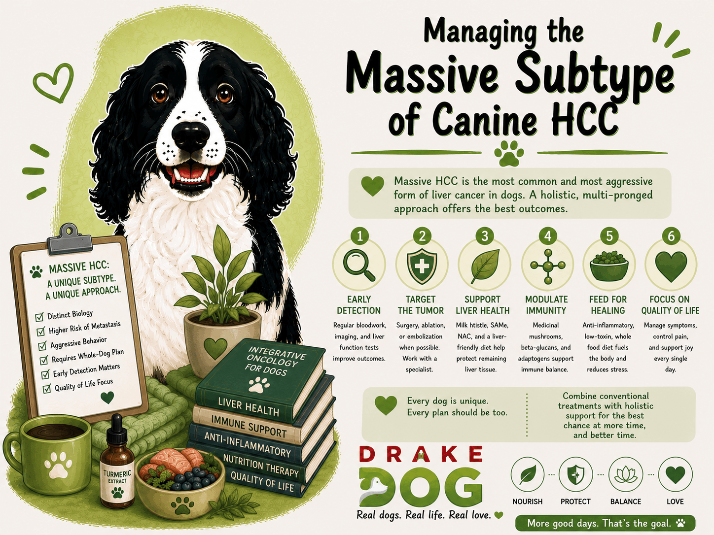Managing the Massive Subtype of Canine HCC - Drake Dog Cancer Foundation