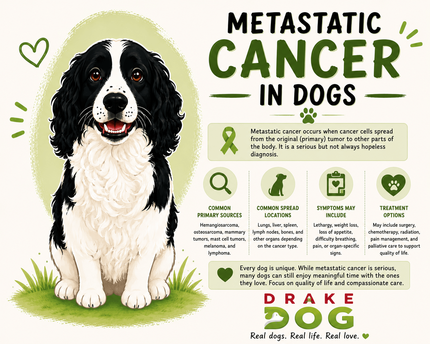 Metastatic Cancer in Dogs - Drake Dog Cancer Foundation