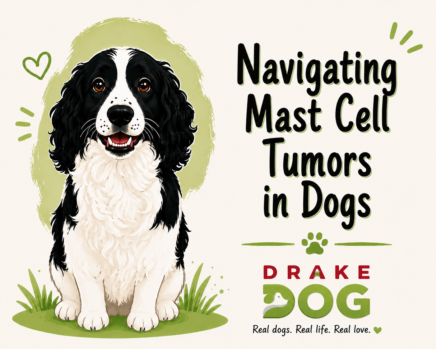 Navigating Mast Cell Tumors in Dogs - Drake Dog Cancer Foundation