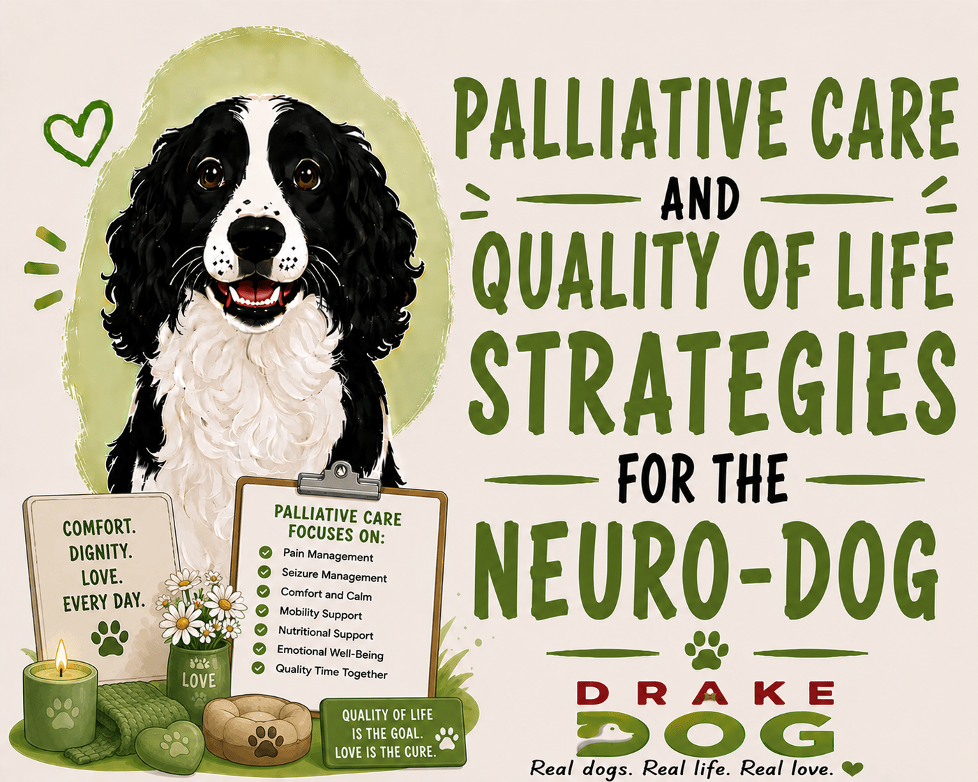 Palliative Care and Quality of Life Strategies for the Neuro-Dog - Drake Dog Cancer Foundation