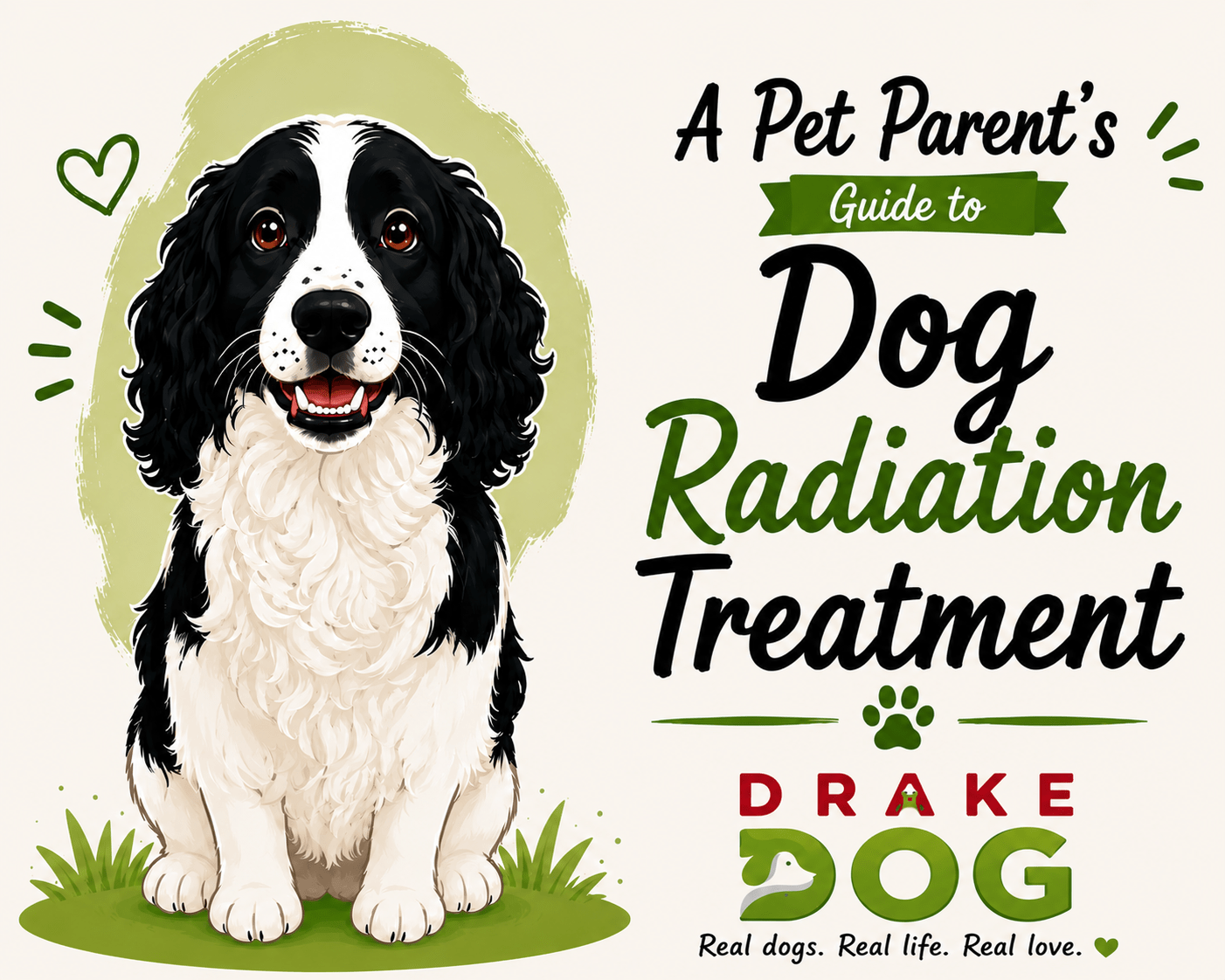 A Pet Parent's Guide to Dog Radiation Treatment - Drake Dog Cancer Foundation