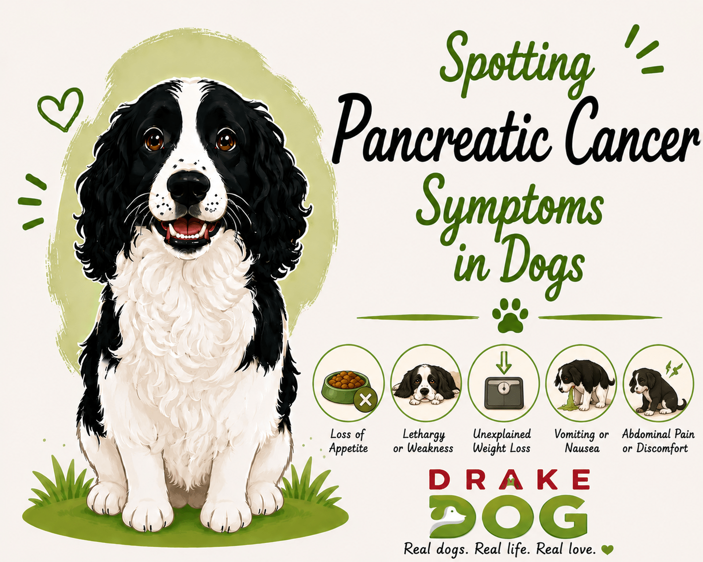 Spotting Pancreatic Cancer Symptoms in Dogs - Drake Dog Cancer Foundation