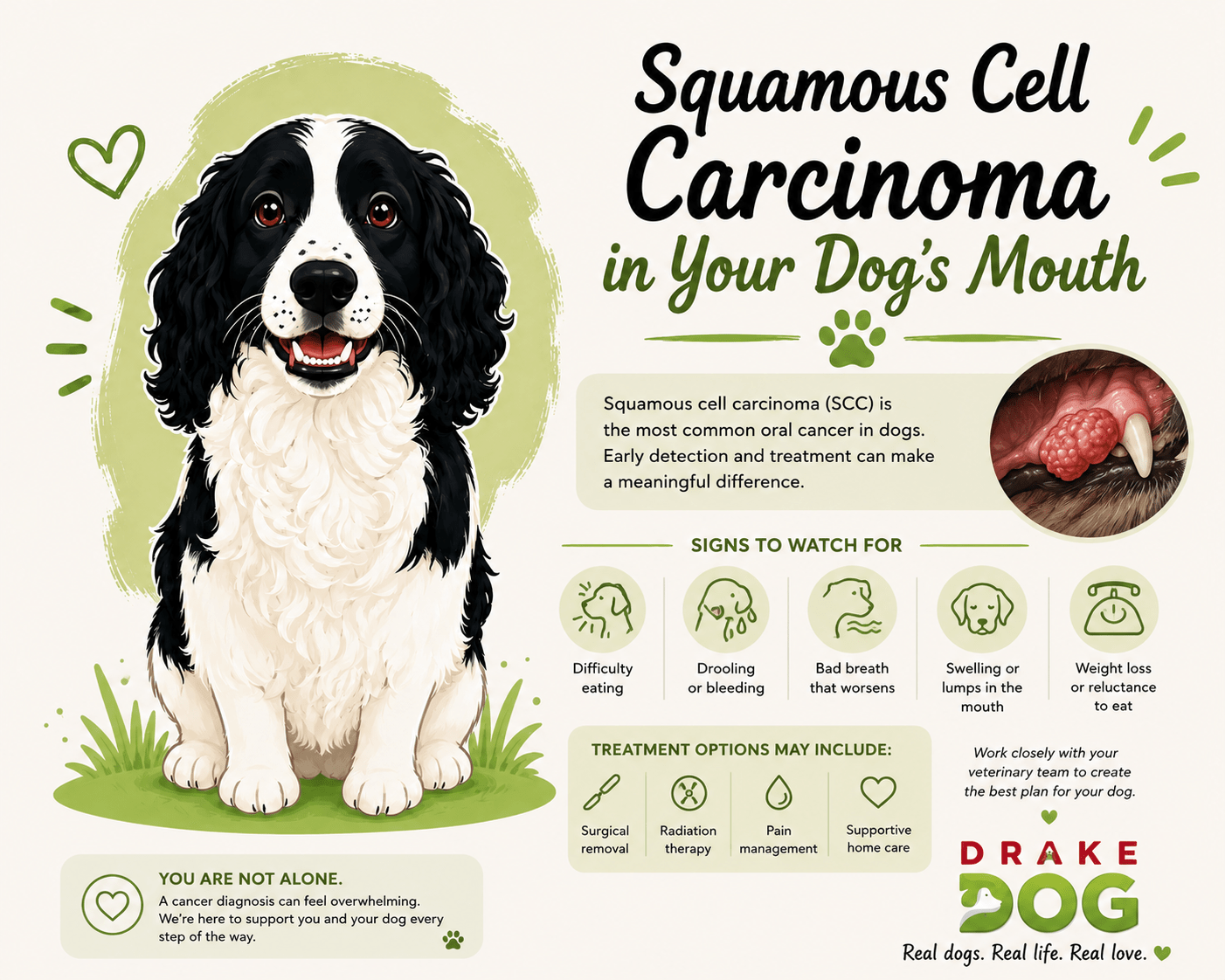 Squamous Cell Carcinoma in Your Dog's Mouth - Drake Dog Cancer Foundation