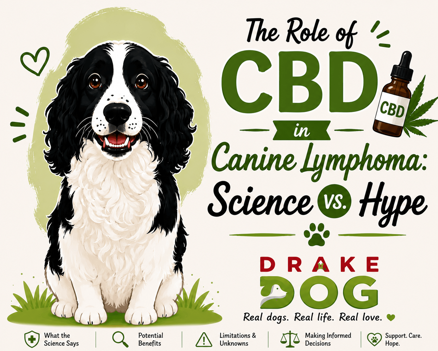 The Role of CBD in Canine Lymphoma: Science vs. Hype - Drake Dog Cancer Foundation