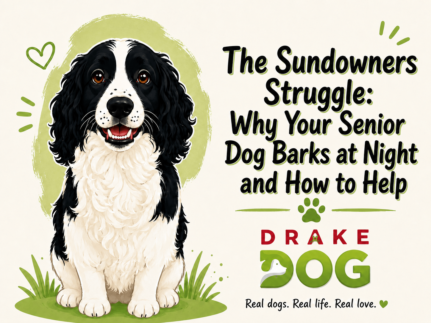 The Sundowners Struggle: Why Your Senior Dog Barks at Night and How to Help - Drake Dog Cancer Foundation