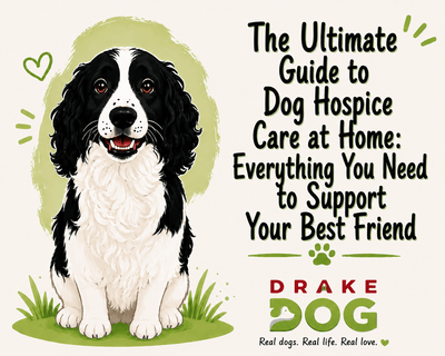 The Ultimate Guide to Dog Hospice Care at Home: Everything You Need to Support Your Best Friend - Drake Dog Cancer Foundation