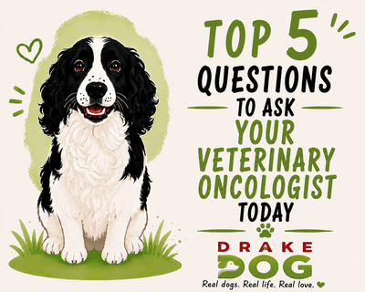 Top 5 Questions to Ask Your Veterinary Oncologist Today - Drake Dog Cancer Foundation
