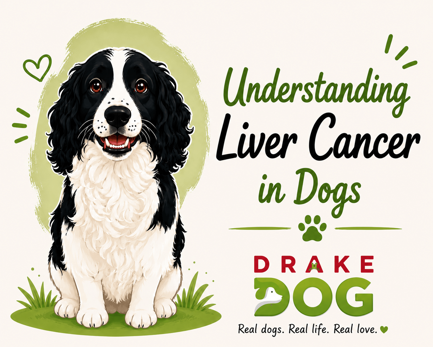 Understanding Liver Cancer in Dogs - Drake Dog Cancer Foundation