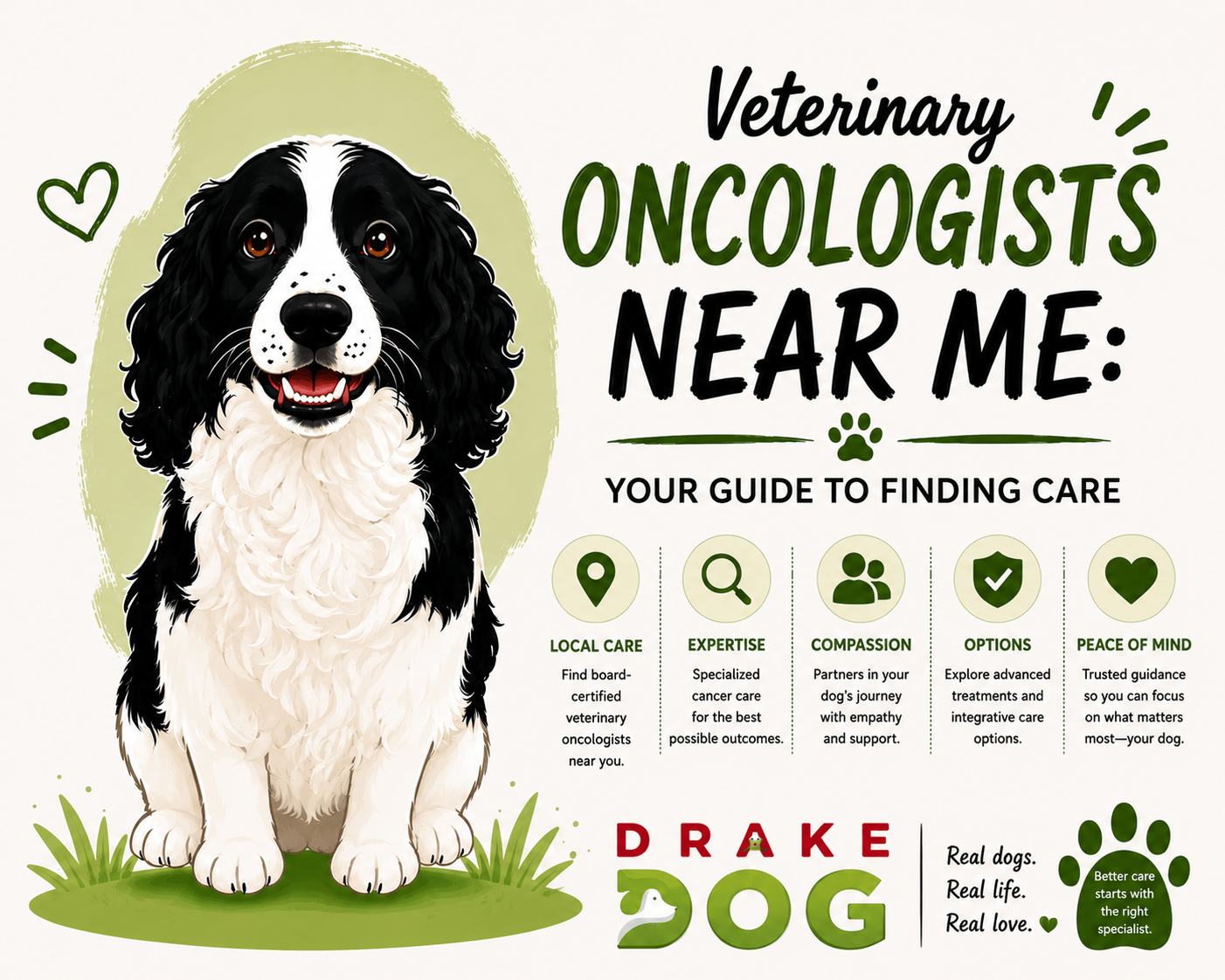 Veterinary Oncologists Near Me: Your Guide to Finding Care - Drake Dog Cancer Foundation