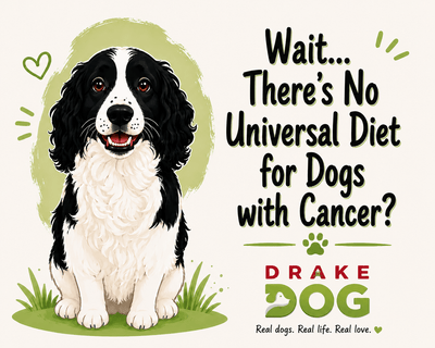 Wait... There's No Universal Diet for Dogs with Cancer? - Drake Dog Cancer Foundation