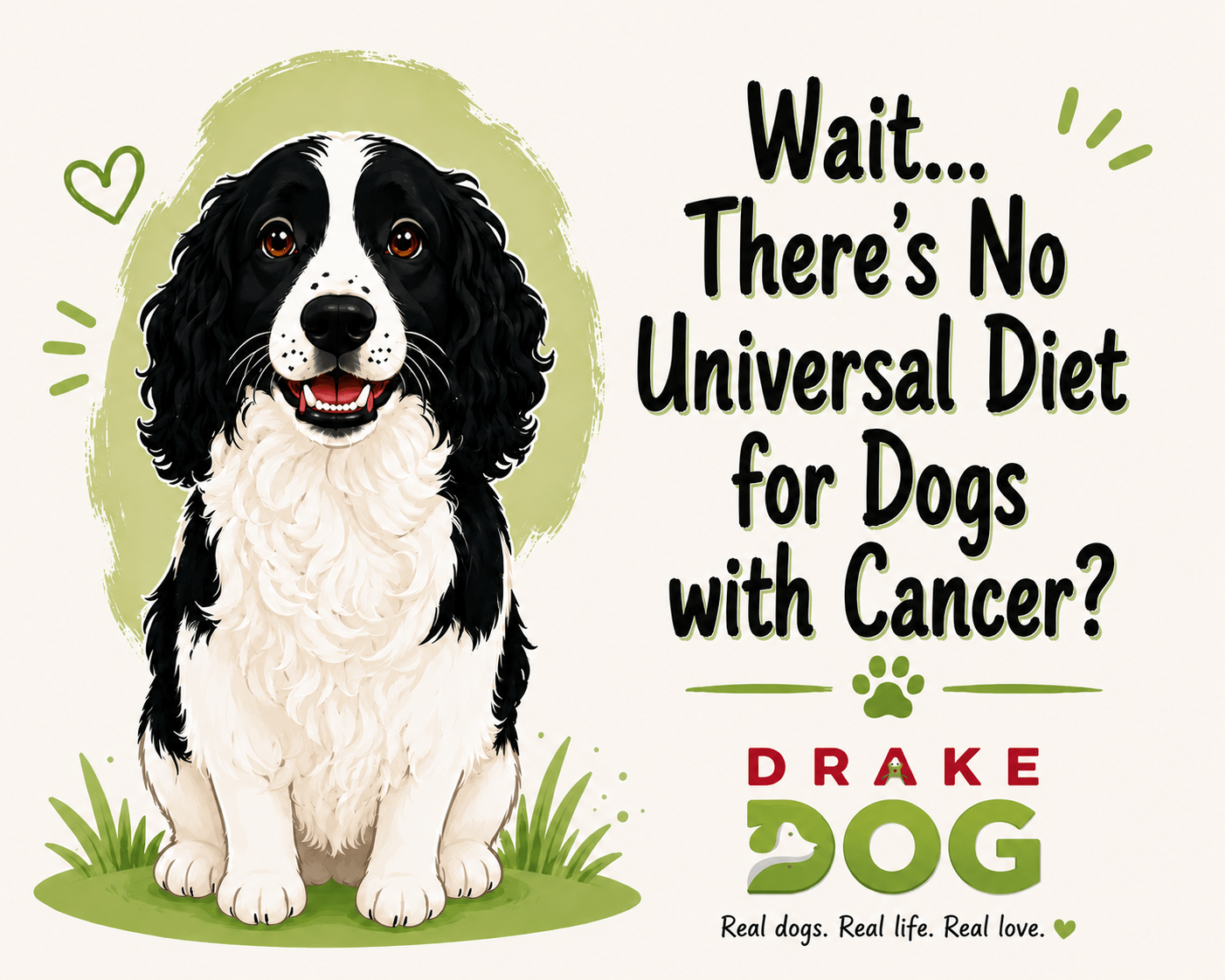 Wait... There's No Universal Diet for Dogs with Cancer? - Drake Dog Cancer Foundation