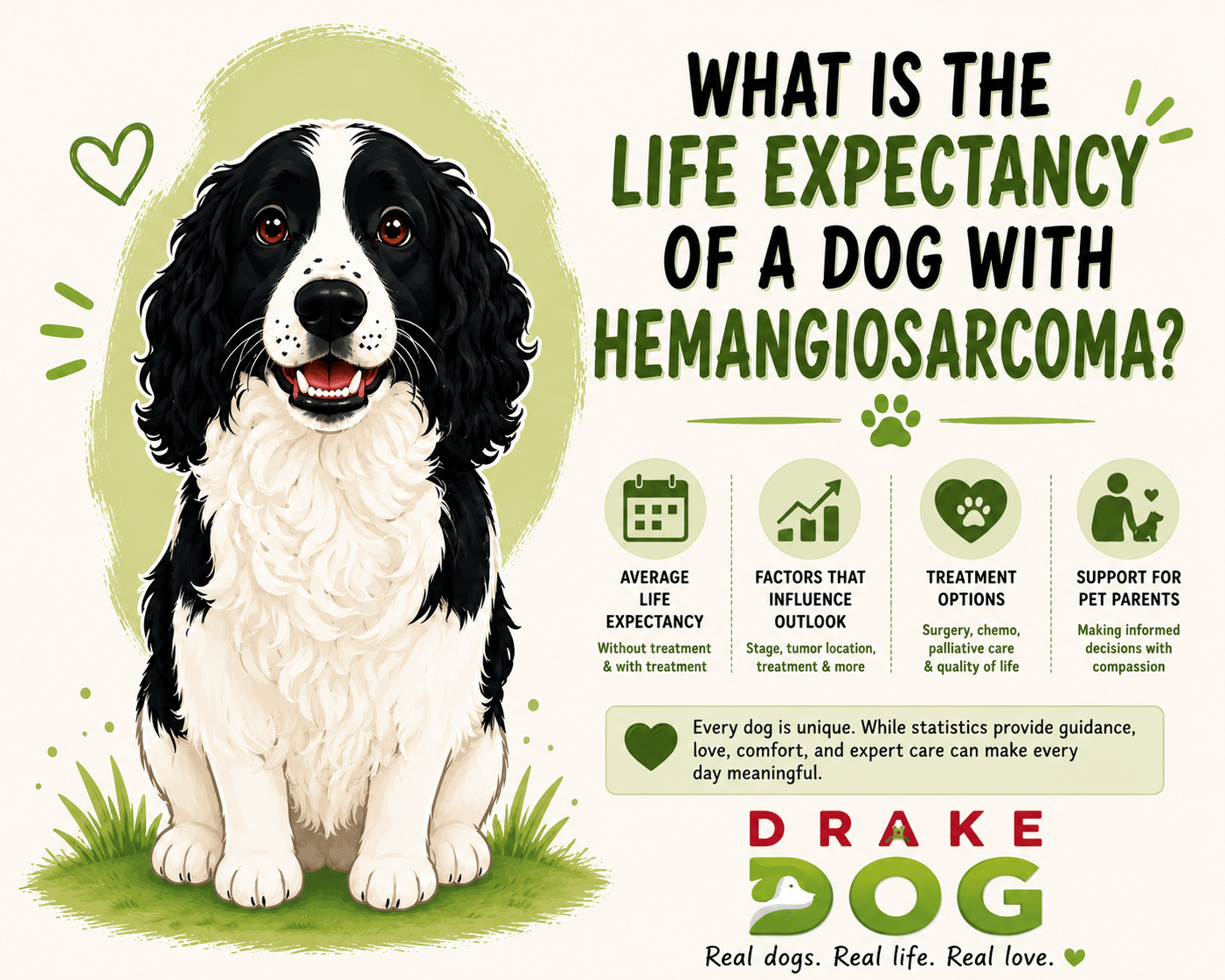 What is the Life Expectancy of a Dog with Hemangiosarcoma? - Drake Dog Cancer Foundation