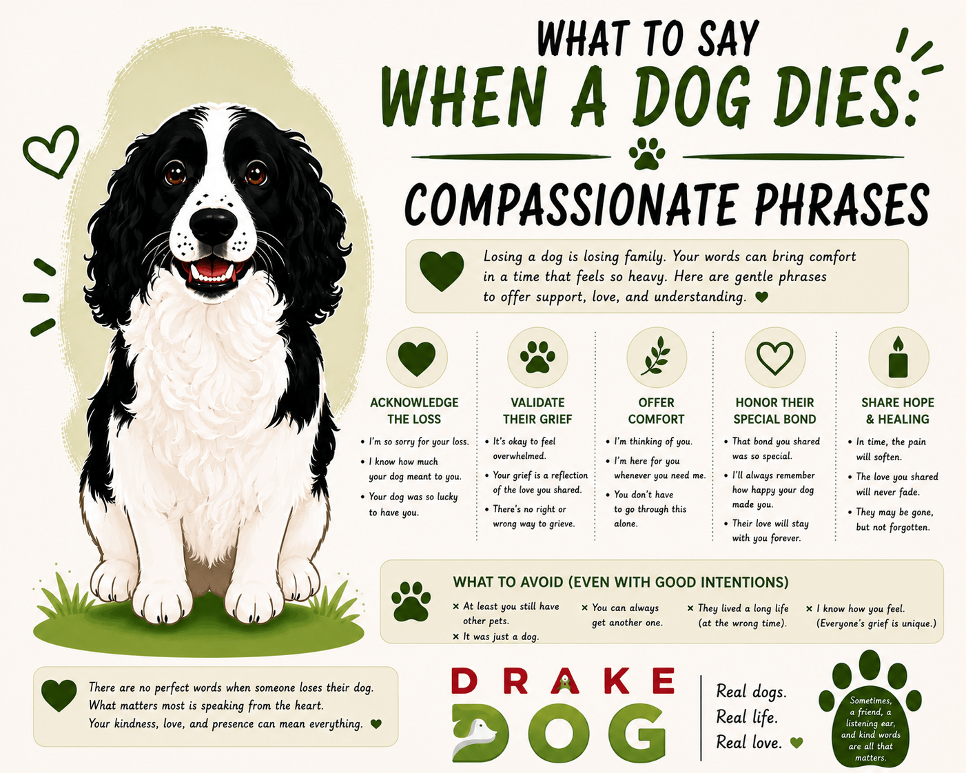 What to Say When a Dog Dies: Compassionate Phrases - Drake Dog Cancer Foundation