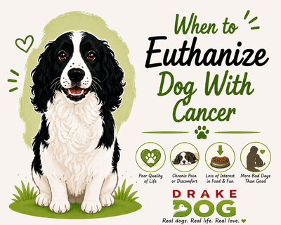 When to Euthanize Dog With Cancer - Drake Dog Cancer Foundation