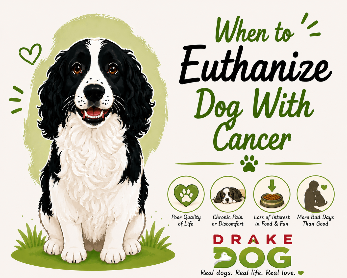 When to Euthanize Dog With Cancer - Drake Dog Cancer Foundation