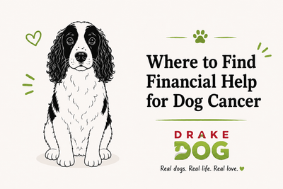 Where to Find Financial Help for Dog Cancer - Drake Dog Cancer Foundation