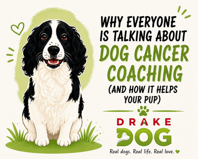 Why Everyone Is Talking About Dog Cancer Coaching (And How It Helps Your Pup) - Drake Dog Cancer Foundation