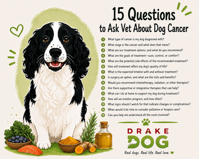 15 Questions to Ask Vet About Dog Cancer - Drake Dog Cancer Foundation