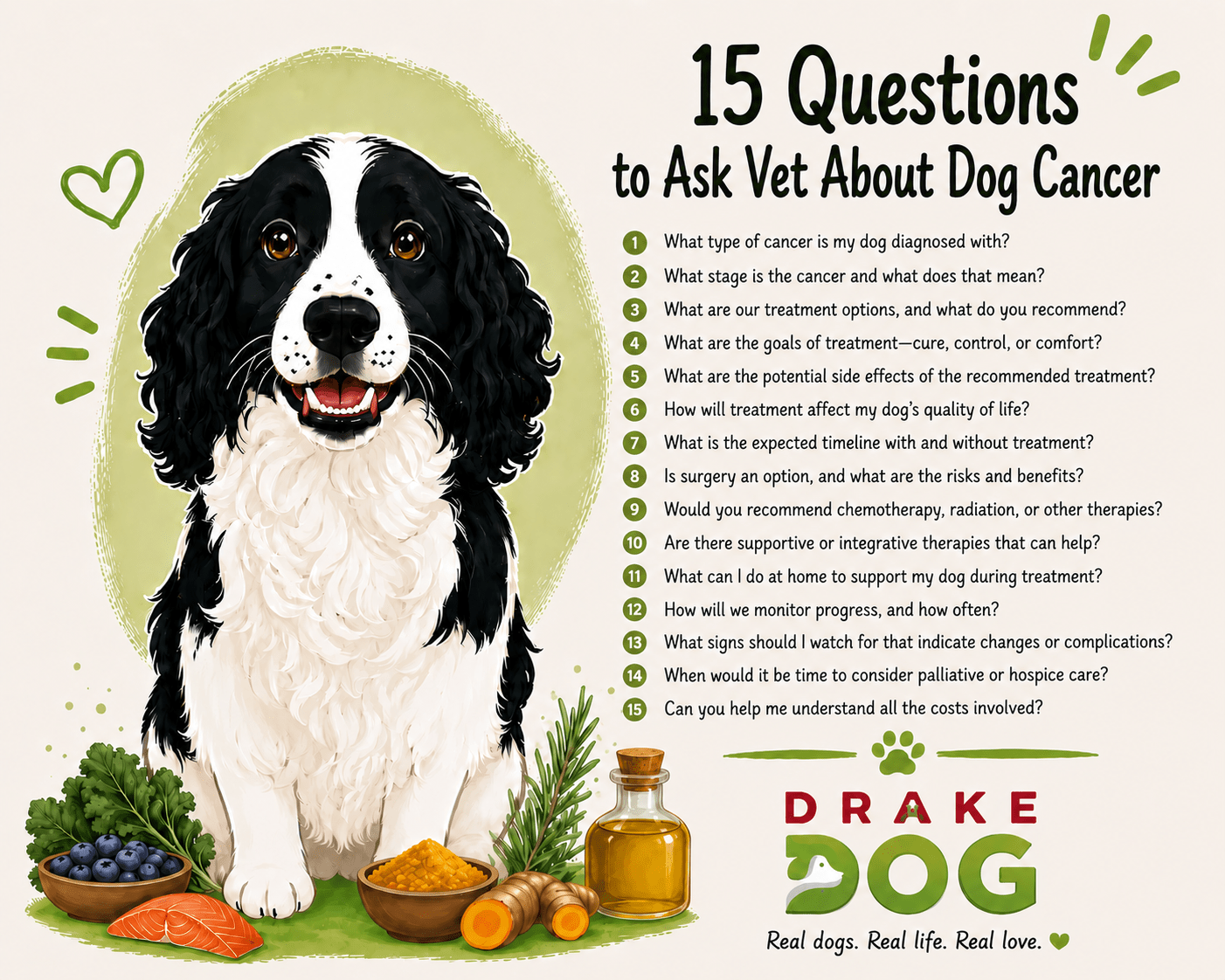15 Questions to Ask Vet About Dog Cancer - Drake Dog Cancer Foundation
