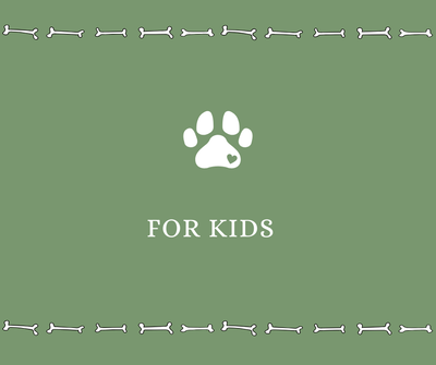 For Kids - Drake Dog Cancer Foundation