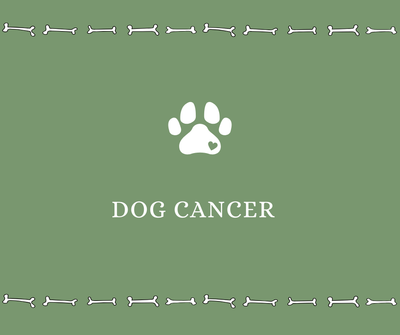 Dog Cancer - Drake Dog Cancer Foundation