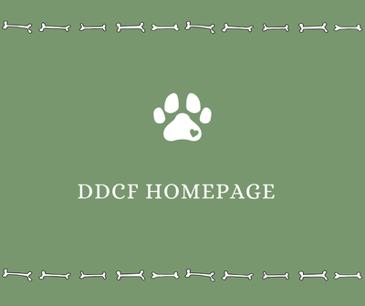 Home page - Drake Dog Cancer Foundation