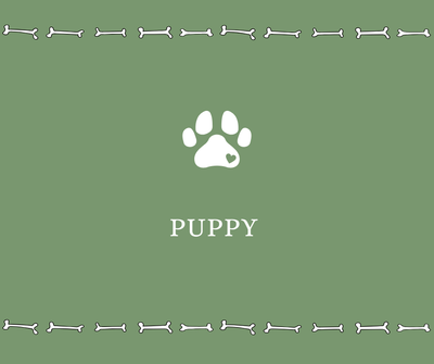 Puppy Parents - Drake Dog Cancer Foundation