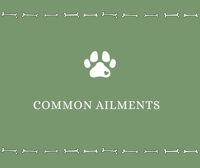 Common Ailments - Drake Dog Cancer Foundation