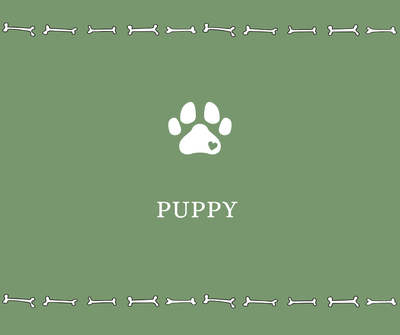 Puppy - Drake Dog Cancer Foundation