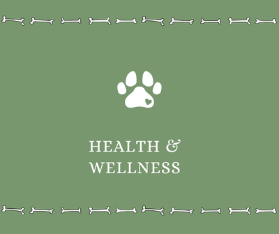 Dog Health and Wellness - Drake Dog Cancer Foundation
