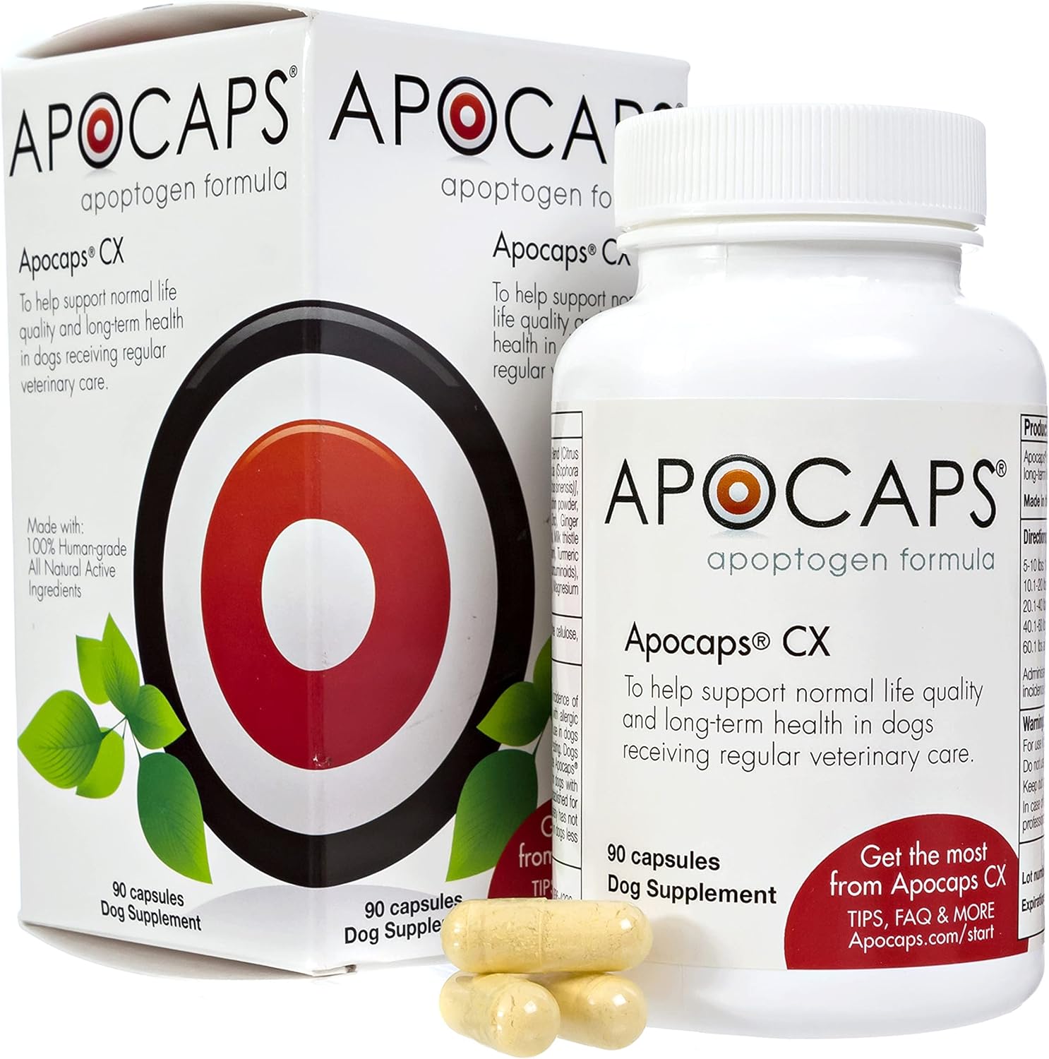 Apocaps CX for Dog Cancer - Drake Dog Cancer Foundation