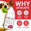 Apocaps CX for Dog Cancer - Drake Dog Cancer Foundation