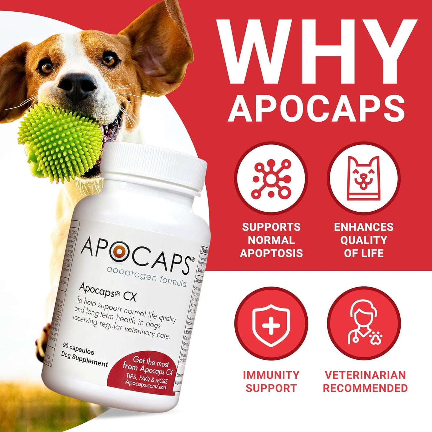 Apocaps CX for Dog Cancer - Drake Dog Cancer Foundation