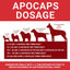 Apocaps CX for Dog Cancer - Drake Dog Cancer Foundation