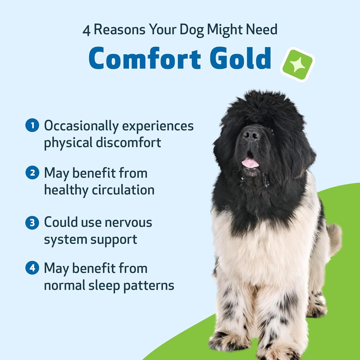 Comfort Gold for Pain Relief - Drake Dog Cancer Foundation