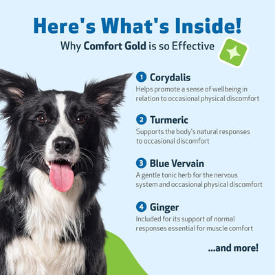 Comfort Gold for Pain Relief - Drake Dog Cancer Foundation